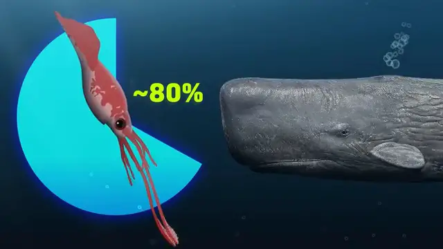 Animation 3D montrant un calmar colossal géant face à un cachalot dans les profondeurs de l'océan.