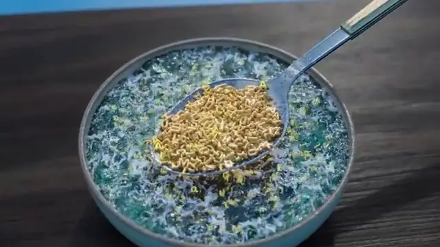 Analogie visuelle d'une cuillère soulevant des lettres dans un bol de soupe à l'alphabet pour expliquer la méthode de l'ADNe.