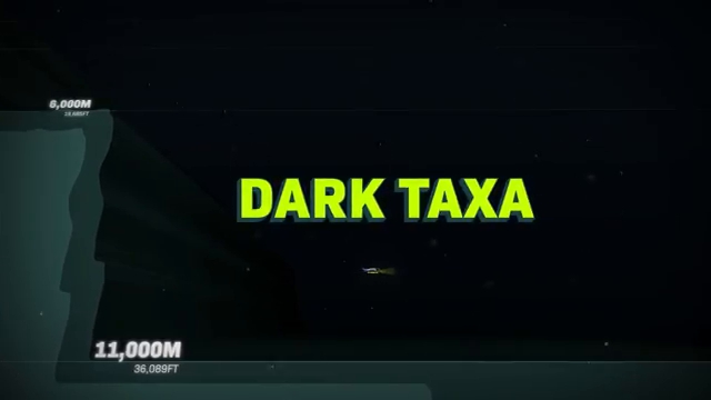 Affichage du terme'Dark Taxa' en lettres vertes lumineuses dans l'obscurité abyssale, symbolisant l'ADN inconnu.