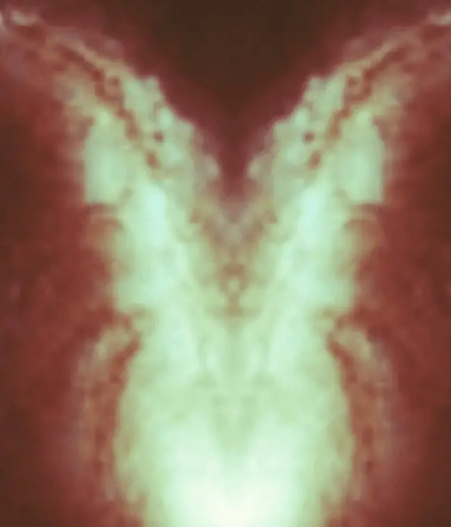 Cet homme a inventé un étrange appareil capable de voir des êtres multidimensionnels