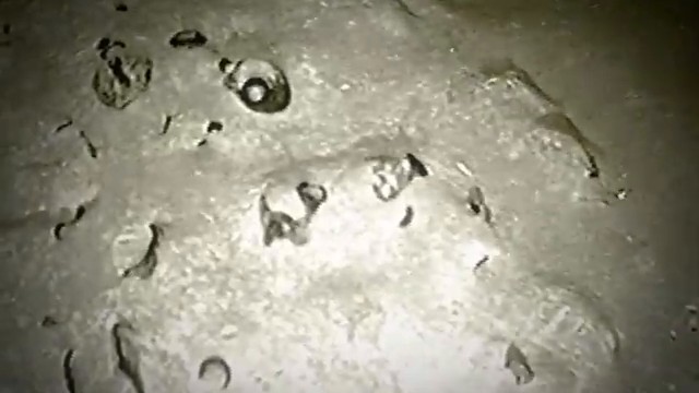 Images sous-marines des urnes cananéennes de la plus ancienne épave en eaux profondes en Méditerranée.