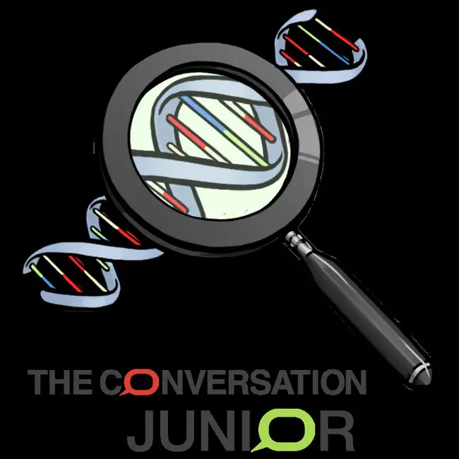 Diane Rottner, CC BY-NC-ND