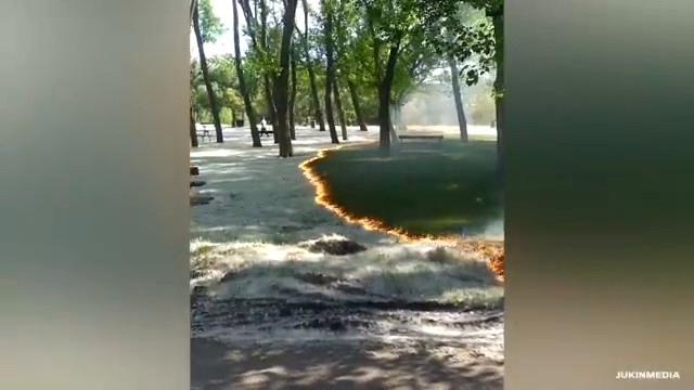 Ligne de feu brûlant le duvet blanc au sol sans toucher l'herbe verte