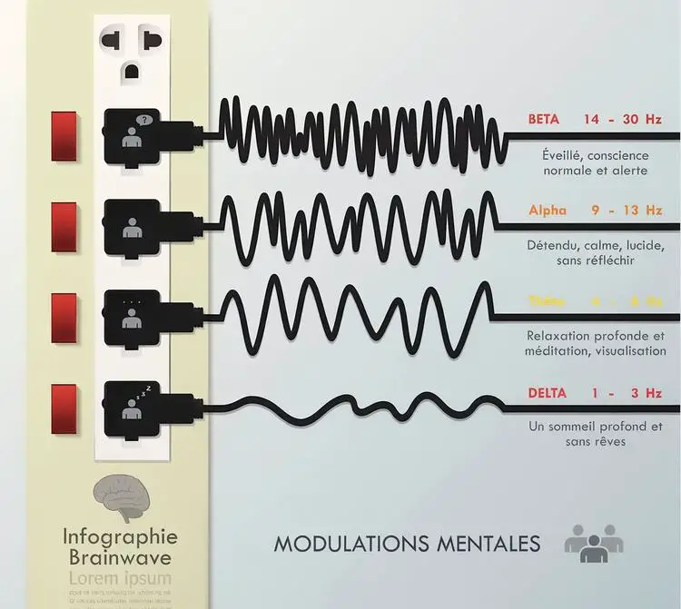 Infographie illustrant les quatre types d'ondes cérébrales (Bêta, Alpha, Thêta, Delta) et leurs fréquences respectives.