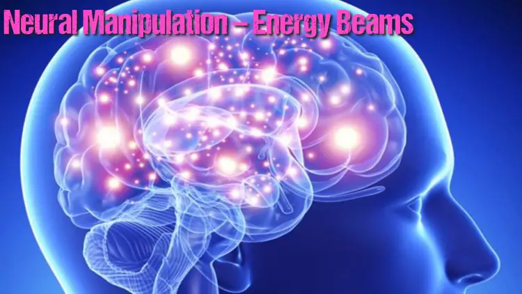 Modélisation 3D d'un cerveau humain montrant les connexions neuronales et la bioélectricité.