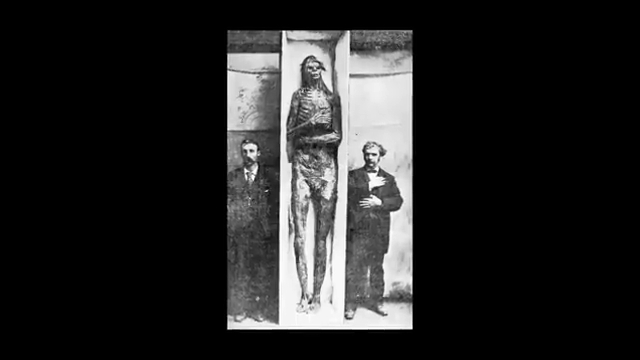 Photographie d'époque de la momie du Géant de San Diego mesurant plus de 2,5 mètres