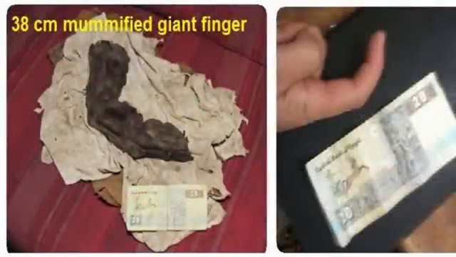 Photographies du doigt momifié géant de 35 centimètres découvert en Égypte
