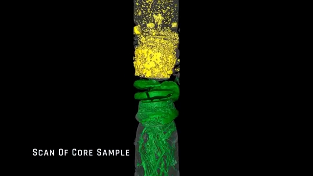 Scan d'une carotte de sédiments prélevée sous le plancher océanique antarctique révélant des restes de plantes fossilisées.