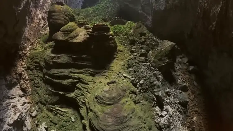 Vue intérieure spectaculaire de l'immense grotte de Son Doong au Vietnam, montrant la végétation poussant sous les puits de lumière.