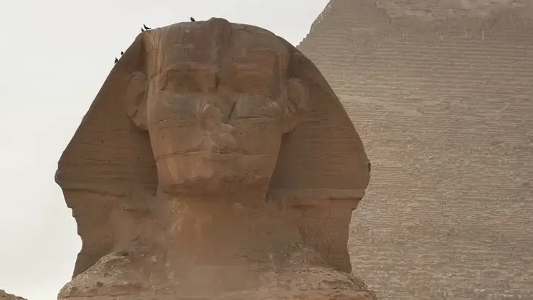 Gros plan de face du Grand Sphinx de Gizeh devant une pyramide.