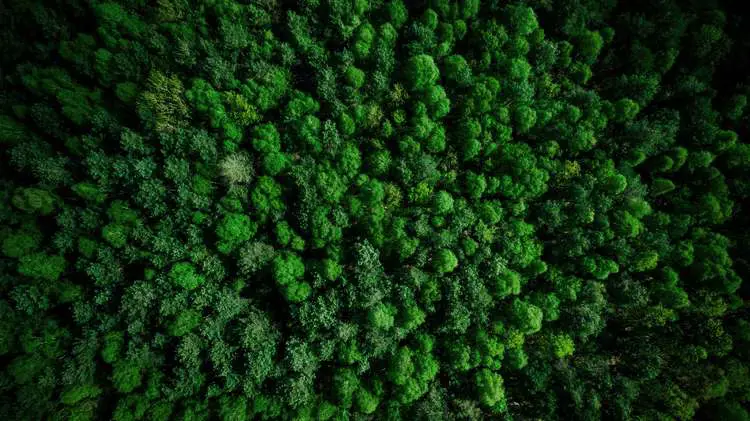 Des diamants qui pleuvent dans l’espace