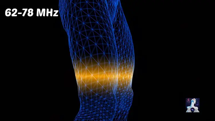 Graphique montrant les fréquences électromagnétiques d'un corps humain sain (62-78 MHz)