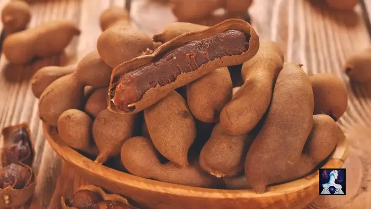 Gousses de tamarin utilisées pour la détoxification naturelle du fluor