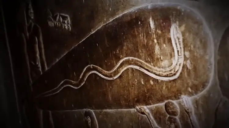 La célèbre gravure de la'lumière de Dendérah' dans le temple d'Hathor, montrant ce qui ressemble à une ampoule géante et un câble.