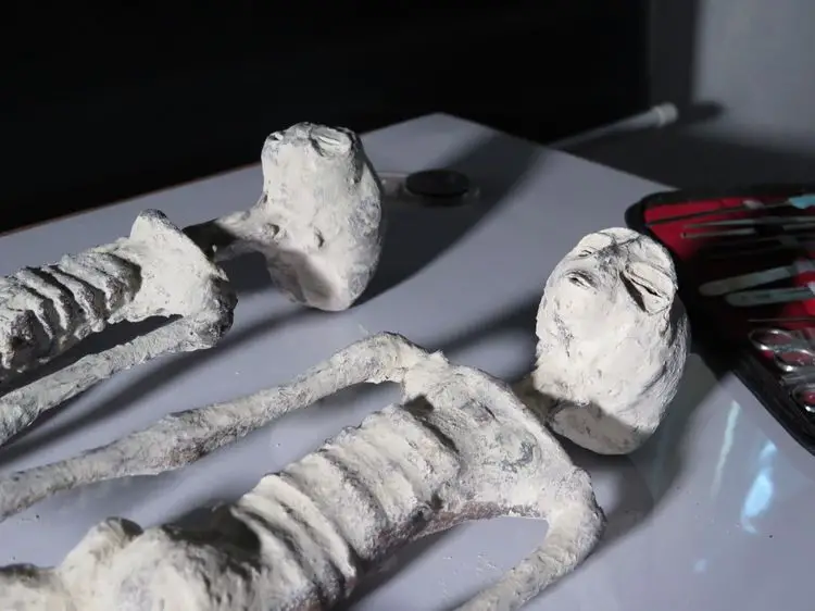 Momies de Nazca de type