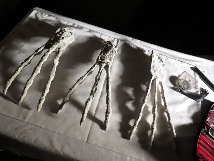 Momies de Nazca. Grandes mains tridactyles.