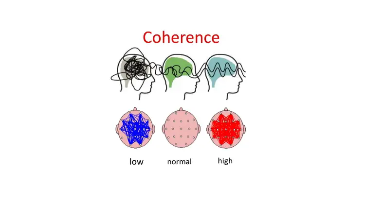 Schéma montrant les niveaux de cohérence cérébrale : le bleu représente un faible niveau, le rose un niveau normal/moyen, et le rouge un niveau élevé d'ordre et de cohérence.