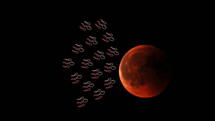 Dans des conditions de microgravité, la motilité et la vitalité des spermatozoïdes sont fortement impactées. | Stephan H. <a href=