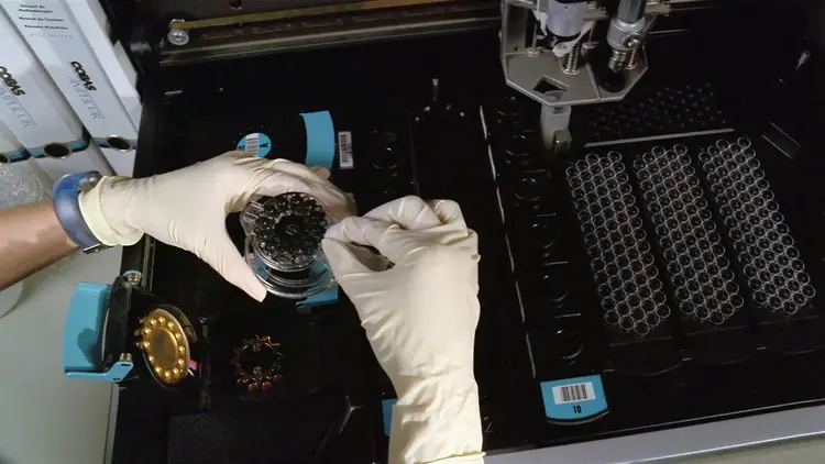 Un chercheur utilise une technique de séparation magnétique des particules pour purifier l'ADN extrait des échantillons de momies.