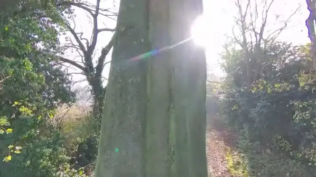 Plan large montrant l'alignement des trois mégalithes dans un champ, illustrant leur taille imposante par rapport au paysage.